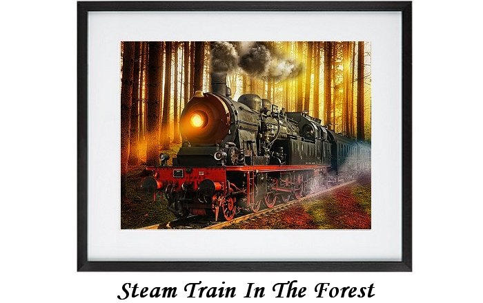 Steam Train In The Forest Framed Print